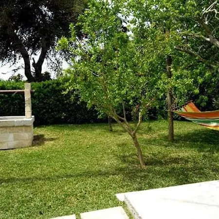 Piccolo Vigneto 3*