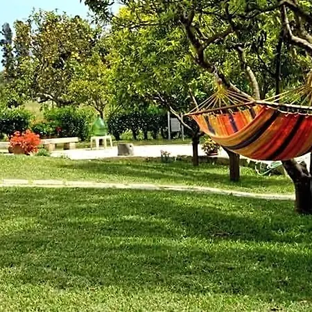 Piccolo Vigneto 3*
