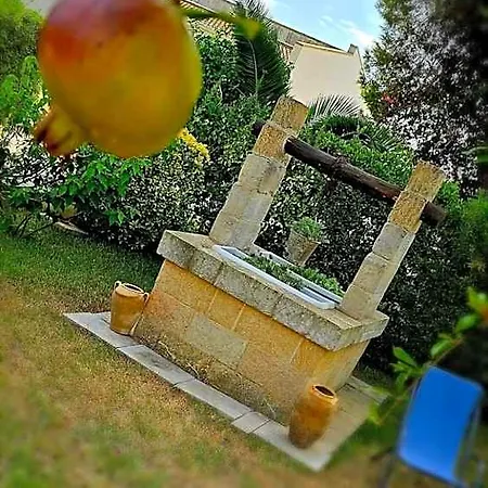 Bed and breakfast Piccolo Vigneto